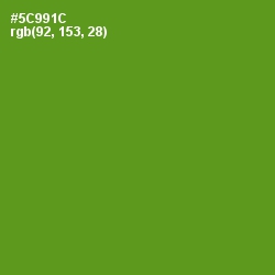 #5C991C - Vida Loca Color Image