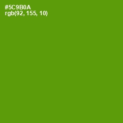 #5C9B0A - Vida Loca Color Image