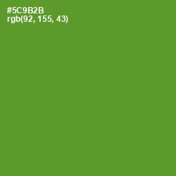 #5C9B2B - Olive Drab Color Image