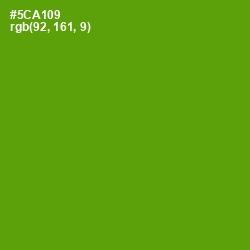 #5CA109 - Christi Color Image