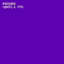 #5D02B0 - Purple Color Image