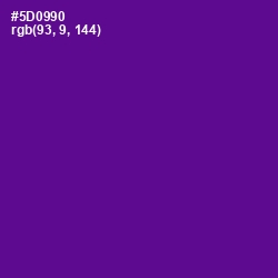 #5D0990 - Pigment Indigo Color Image