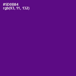 #5D0B84 - Pigment Indigo Color Image