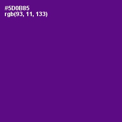 #5D0B85 - Pigment Indigo Color Image