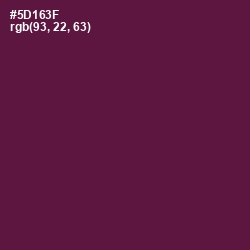 #5D163F - Wine Berry Color Image