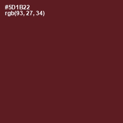 #5D1B22 - Wine Berry Color Image