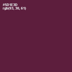 #5D1E3D - Wine Berry Color Image