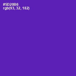 #5D20B6 - Daisy Bush Color Image