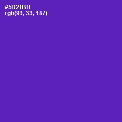 #5D21BB - Daisy Bush Color Image
