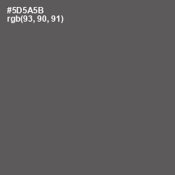 #5D5A5B - Chicago Color Image