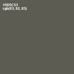 #5D5C53 - Chicago Color Image