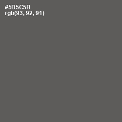 #5D5C5B - Chicago Color Image