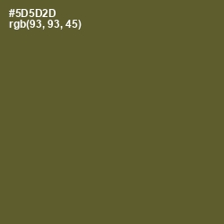 #5D5D2D - Verdigris Color Image