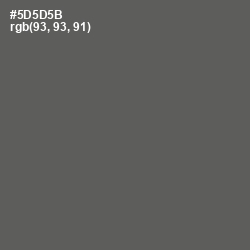 #5D5D5B - Chicago Color Image