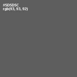 #5D5D5C - Chicago Color Image