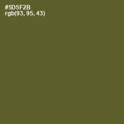 #5D5F2B - Verdigris Color Image
