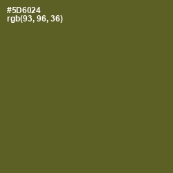 #5D6024 - Chalet Green Color Image