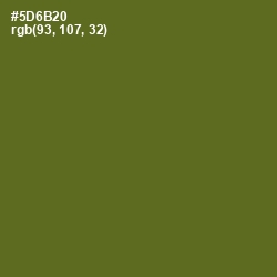 #5D6B20 - Chalet Green Color Image