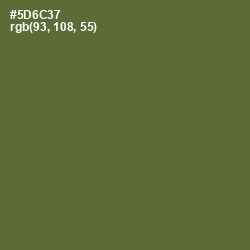 #5D6C37 - Chalet Green Color Image