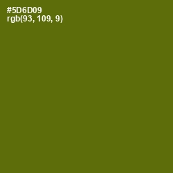#5D6D09 - Green Leaf Color Image
