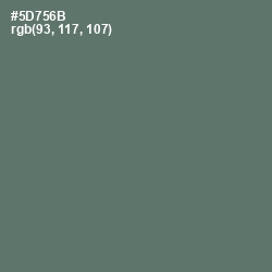 #5D756B - Como Color Image