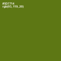#5D7714 - Green Leaf Color Image