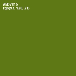 #5D7815 - Green Leaf Color Image