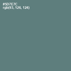 #5D7E7C - Cutty Sark Color Image