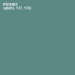 #5D8985 - Smalt Blue Color Image
