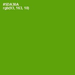 #5DA30A - Christi Color Image