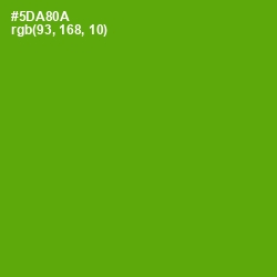 #5DA80A - Christi Color Image