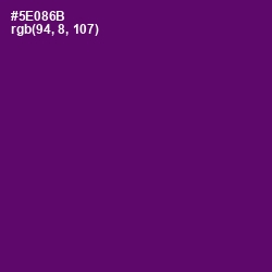 #5E086B - Honey Flower Color Image