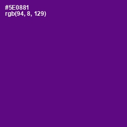 #5E0881 - Pigment Indigo Color Image