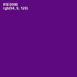 #5E0980 - Pigment Indigo Color Image