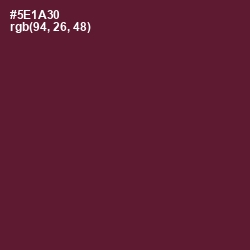 #5E1A30 - Wine Berry Color Image
