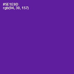 #5E1E9D - Pigment Indigo Color Image