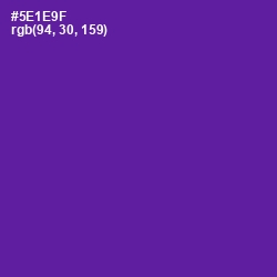 #5E1E9F - Pigment Indigo Color Image