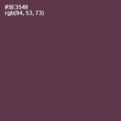 #5E3549 - Voodoo Color Image