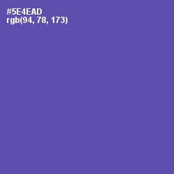 #5E4EAD - Blue Violet Color Image