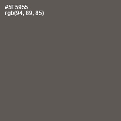 #5E5955 - Chicago Color Image