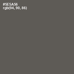 #5E5A56 - Chicago Color Image