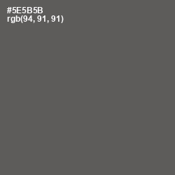 #5E5B5B - Chicago Color Image