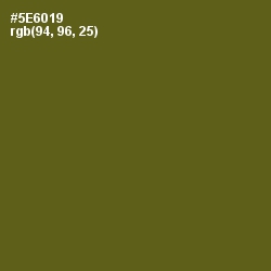 #5E6019 - Green Leaf Color Image