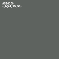 #5E6360 - Shuttle Gray Color Image