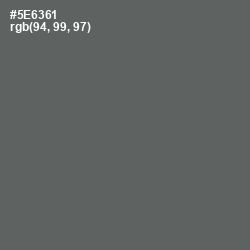 #5E6361 - Shuttle Gray Color Image