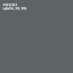 #5E6363 - Shuttle Gray Color Image