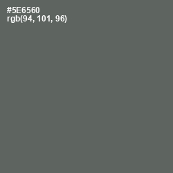 #5E6560 - Shuttle Gray Color Image