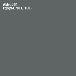 #5E6564 - Shuttle Gray Color Image