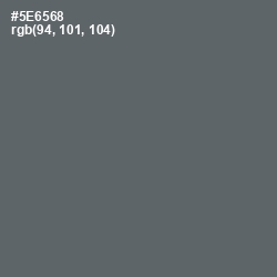 #5E6568 - Shuttle Gray Color Image