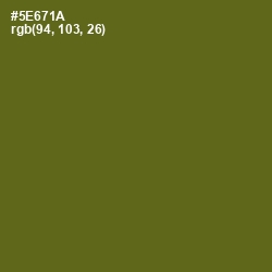 #5E671A - Green Leaf Color Image